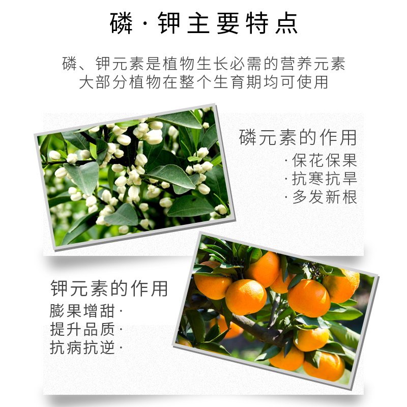 国光磷酸二氢钾肥料植物花卉专用叶面肥君子兰大量元素水溶肥农用