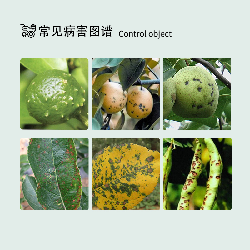 国光80%代森锰锌苹果树斑点落叶斑病黑星病专用戴森锰锌杀菌剂 - 图2