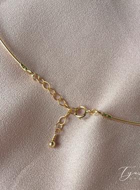 TYUSHA美国14k包金项圈