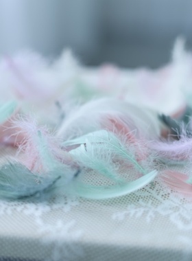 消毒羽毛马卡龙莫兰迪色系摆件