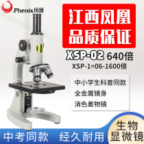 Phoenix optical microscope XSP02 primary and middle school childrens childrens toys 61 gift in test experiment 640 times