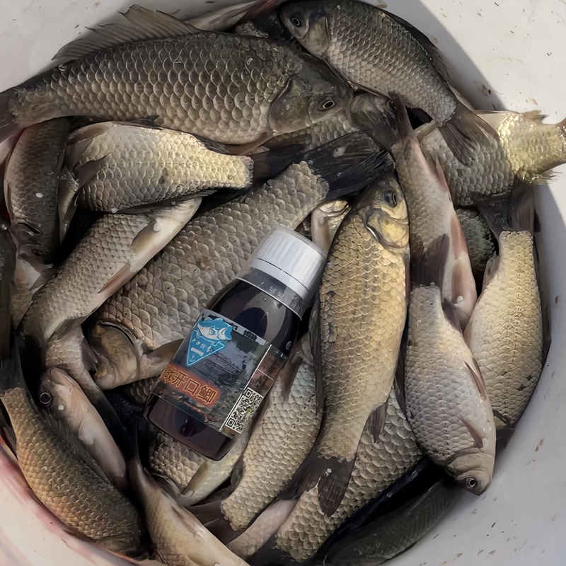 野钓鲫鱼专用饵料诱鱼剂酒米打窝米散炮高端正品高浓度钓鲫鱼小药,淘宝优惠券,粉丝福利购,淘宝优惠卷