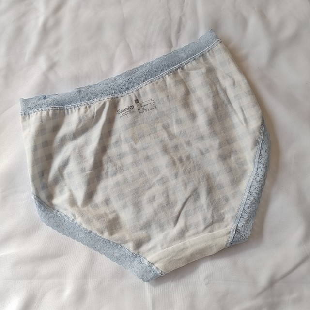 Foreign trade export women's underwear pure cotton underwear lace mid-low waist elastic female briefs girl student underwear