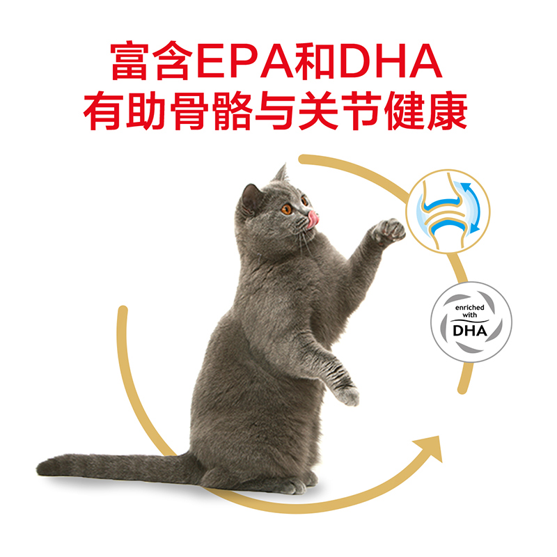 皇家猫粮BS34英国短毛猫专用蓝猫英短美短成猫粮补充营养全价10kg - 图1