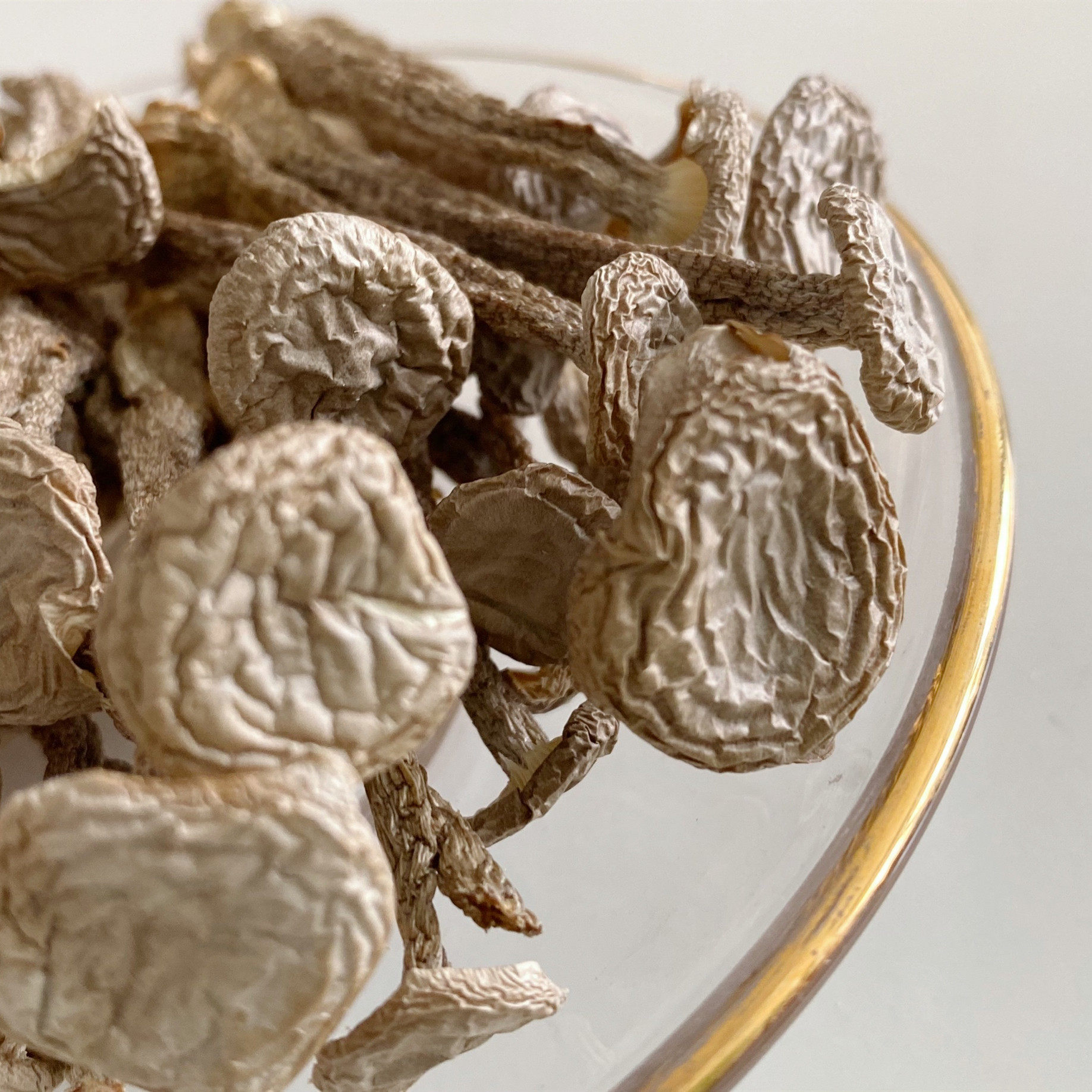 福建省农产品野生鹿茸菇优质食用菌无硫口感美味炖汤新品500g