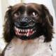 Russian imported scary and funny anti-barking and anti-biting masks for Halloween with the same Doberman muzzle for medium and large dogs