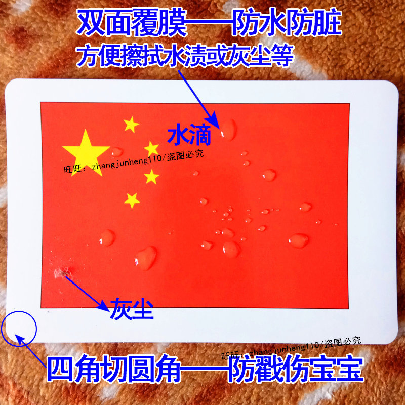 杜曼全右脑开发国旗闪卡宝宝早教认知世界国家国旗车标大卡片玩具