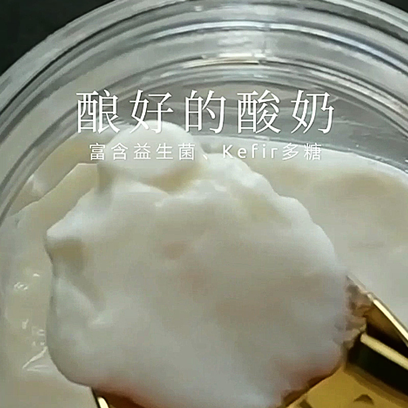 Kefir开菲尔菌种奶克菲尔粒酸奶常温发酵菌非雪莲藏灵菇-图1