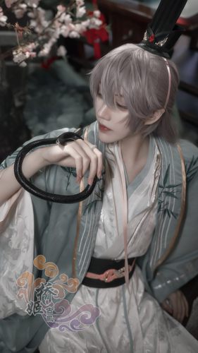 袁基 代号鸢cos如鸢 太仆射 古风古装 乙女 女性向 桥姬古风 - 图1