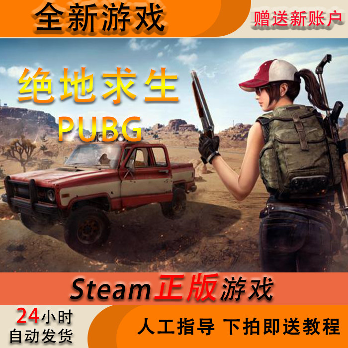 pubgsteam绝地求生吃鸡号 成品号 白号 新号 plus版   匹配 pubg账号