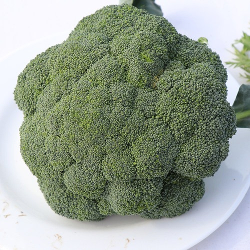 西兰花种子秧苗花菜青菜花种籽菜花四季苗西蓝花蔬菜春秋秧 - 图0