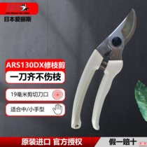 Japan Alice Prunes Cut in Original Imported ARS130DX Traditional Chinese Medicine Cut Gardening Bonsai Scissors Fruit Tree Whole Branches Cut