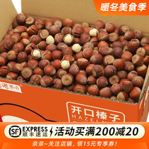 Large hazelnut original taste Northeastern Tiron Ridge wild opening hazelnut Mountain Zogata Gata Dried Fruit Stick Nut Snacks