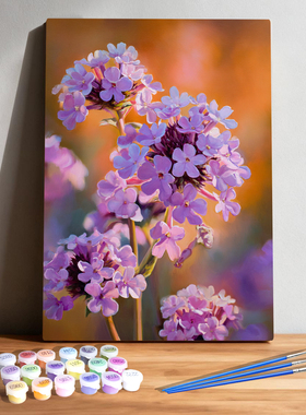 花漾时光 diy数字油画花卉治愈减压手绘填色客厅装饰画挂画礼物