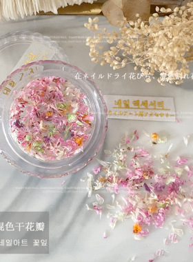 新款干花美甲素材ins风混合天然真花清新花瓣指甲diy材料饰品