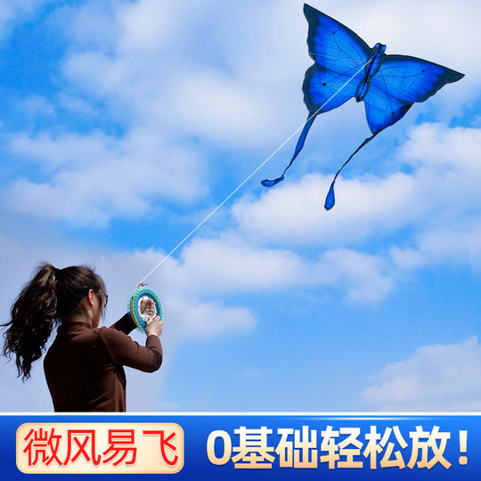 2025年新款潍坊蝴蝶风筝儿童成大人专用大型高档微风易飞网红风筝