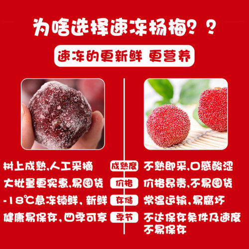 新鲜冷冻东魁杨梅果肉大果颗粒奶茶店用原料商用2斤无核杨莓水果 - 图2