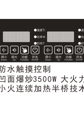 皇冠凹面款不锈钢面板电磁炉双灶