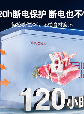 星星一级能效商用冷冻柜大容量