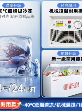 星星冰柜商用大容量冷柜一级能效