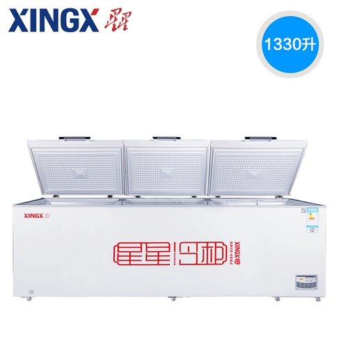 Звездный морозильный дом Коммерческий холодный шкаф 106 -Литер 210 -Литр 305 -литровый