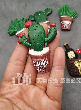 绿色植物仙人掌多肉盆栽留言贴