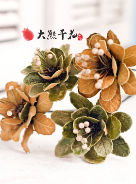 人气妃子笑天然干花包装饰