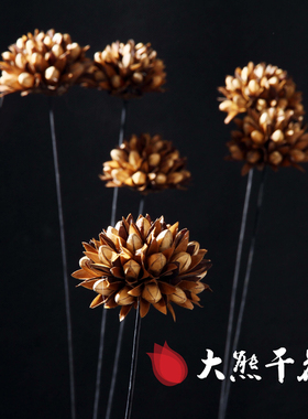 云南千舌玉兰小型落地装饰花