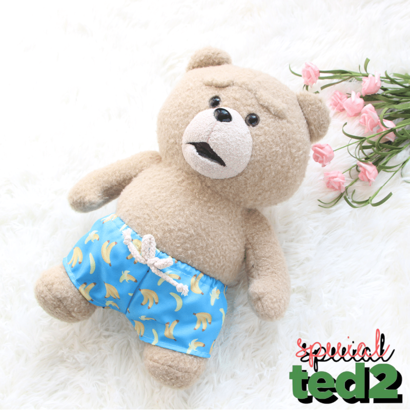 韩国原装正版TED2泰迪流氓小贱熊电影版同款毛绒公仔玩偶生日礼物-图1