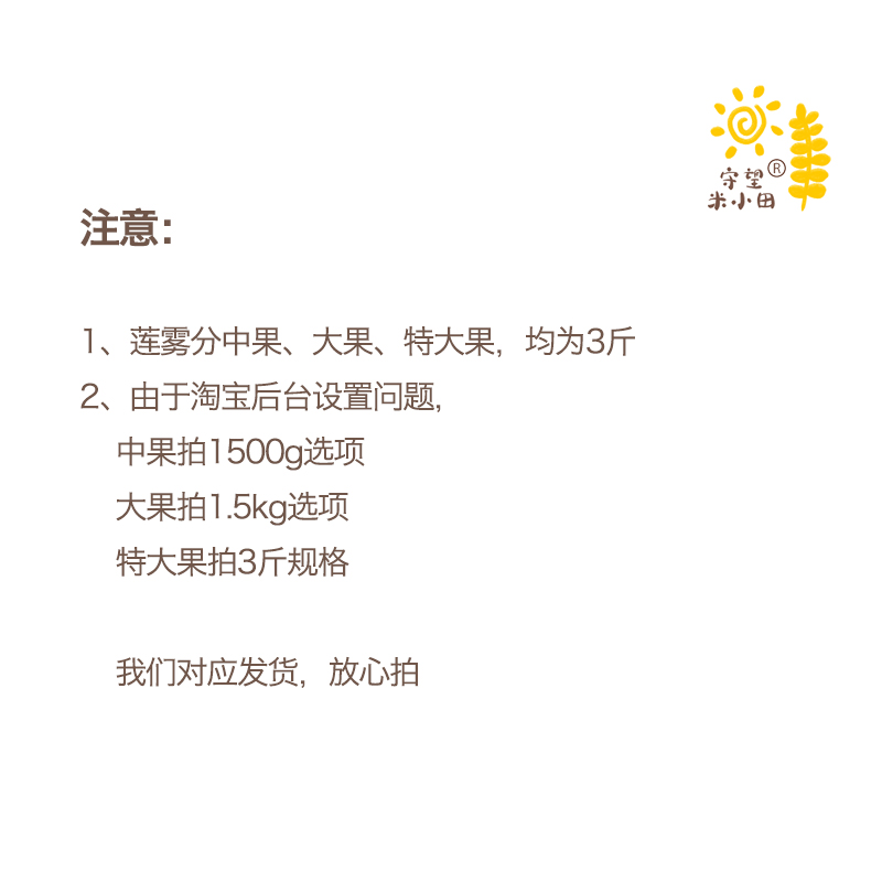 米小田 顺丰空运海南琼中黑金刚莲雾洋蒲桃脆甜多汁现摘3斤礼盒 - 图1