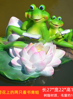 浮水看书庭院鱼缸花园池塘青蛙