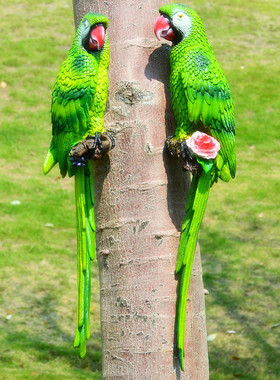 仿真金刚鹦鹉壁挂酒吧树脂工艺品