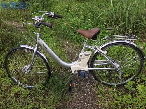 正品日本二手助力自行车26寸松下新款大方表前后罗拉刹豪华版 - 图0