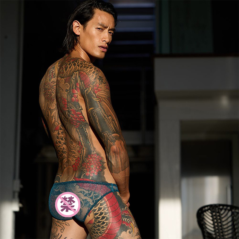 GREGG HOMME 性感网眼透视男士三角内裤低腰立体囊袋透气 210003 - 图2