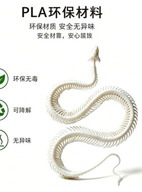 3D打印蛇骨骼标本完整摆件家居收藏品教育工艺品研究生日礼物