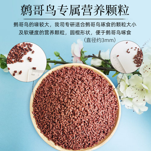 2桶更优惠北京开元牌桶装全价鹩哥鸟食精品鹩哥食八哥喜鹊鸟粮 - 图1