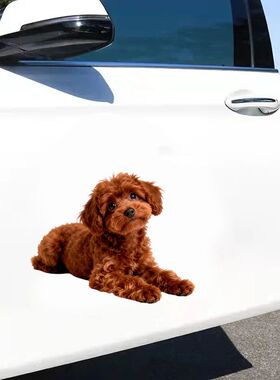 新款泰迪犬贴画狗狗图案自粘墙贴