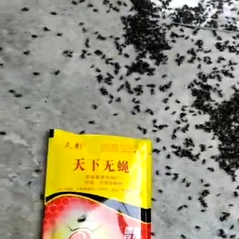 养殖场苍蝇药灭影天下无蝇高效氯氰菊酯猪场灭蝇子药清鸡场一扫光-图0