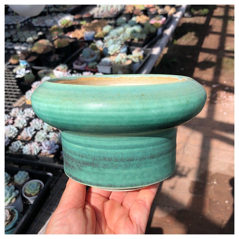 内口径12-16cm大口径多肉花盆景德镇手工拉坯粗陶简约群生老桩盆,淘宝优惠券,粉丝福利购,淘宝优惠卷