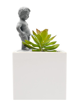 正品英国NPW Pee My Plants撒尿男孩创意浇水器迷你摆件德国直邮