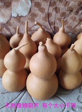 五帝植物葫芦室外煞宜用吉祥物