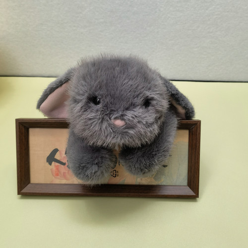 赛特嘟嘟趴趴艾吉兔毛绒玩具兔子玩偶安抚睡觉陪伴可爱垂耳兔公仔 - 图1