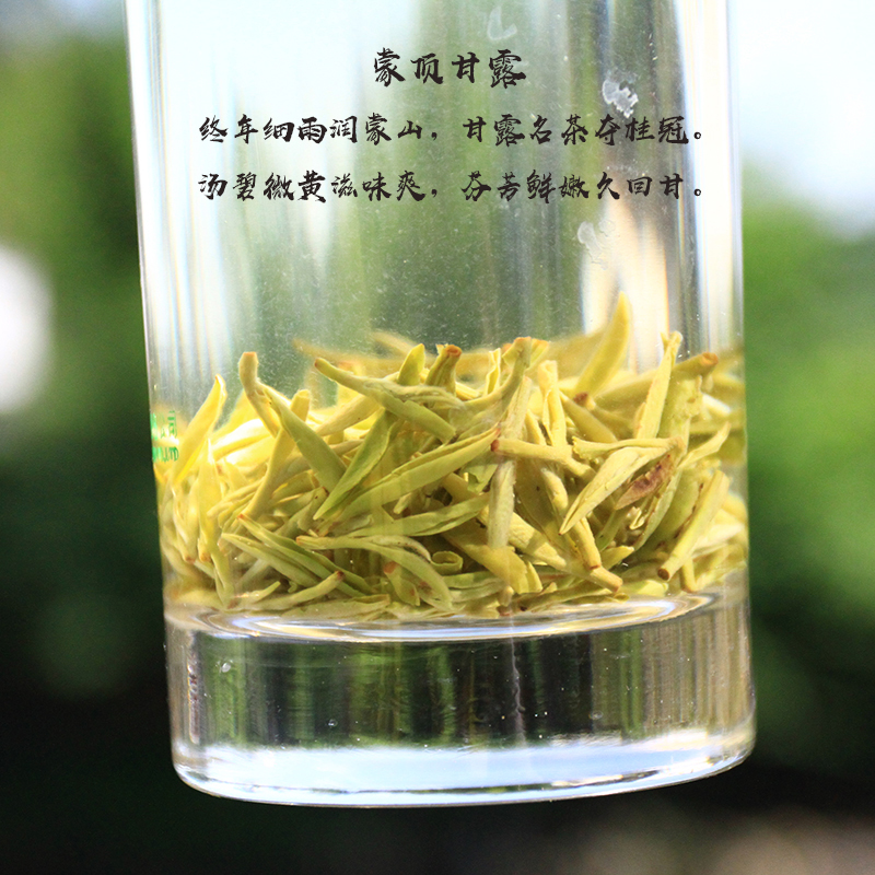 蒙顶甘露 手工明前绿茶群体种老川茶2024年新茶四川雅安蒙顶山茶 - 图2