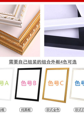 数字油画采饰绘棉布有框花卉