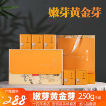 2023 New golden sprouts B tea Anji Zhengzong alpine gold leaf white tea special class 250g GIFT BOX DRESS