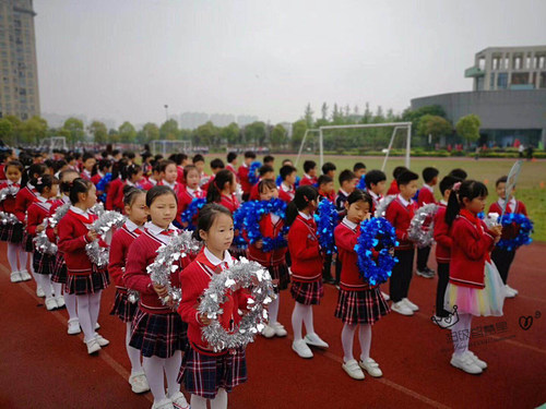 运动会入场开幕式方队幼儿园早操器械手持舞蹈道具硬圈亮钢丝花环 - 图2