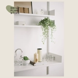 Dolv Bean Green Jade Lover Leats Tears Pearl Spider Plaint Plaint Plant Сочные растения на рабочие столы балкон зеленые растения хорошие горшки