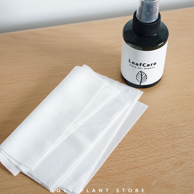 DOLV 豆绿 叶片护理液 深度滋养叶片 观叶植物 清洁叶片专用,淘宝优惠券,粉丝福利购,淘宝优惠卷