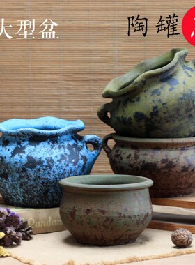 花盆地中海黑法师绿植土做旧
