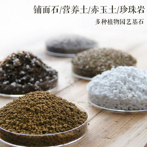 [沐年]多肉营养土铺面石有机介质100g装园艺用蛭石赤玉土陶粒珍珠 - 图0